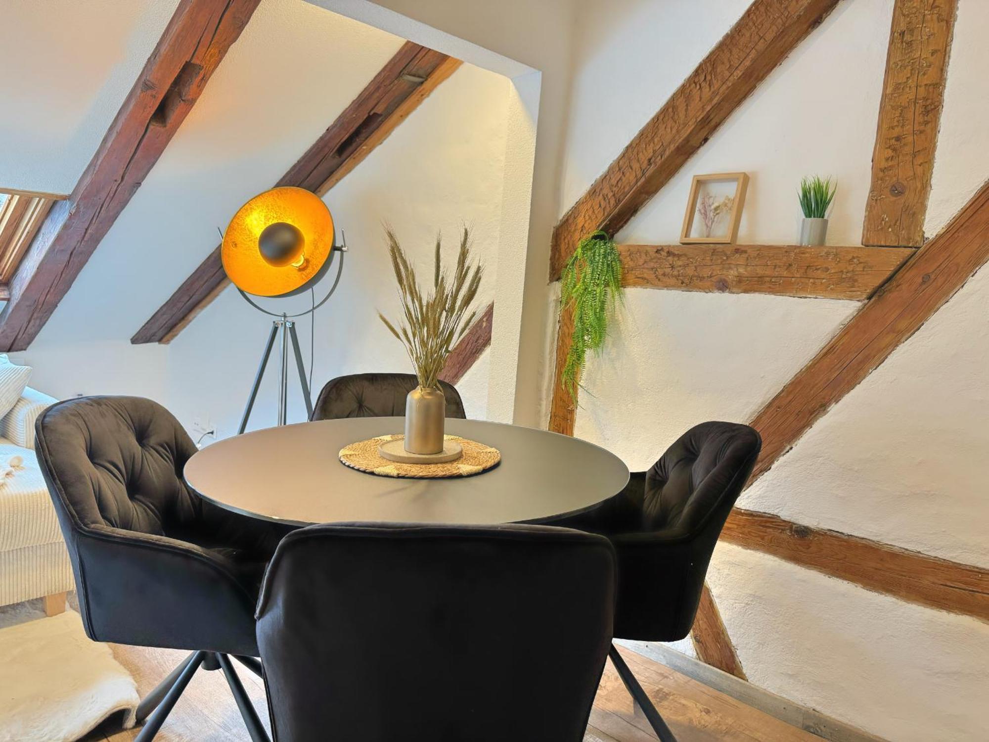 A&y Lakehouse Golden Swan Apartamento *
